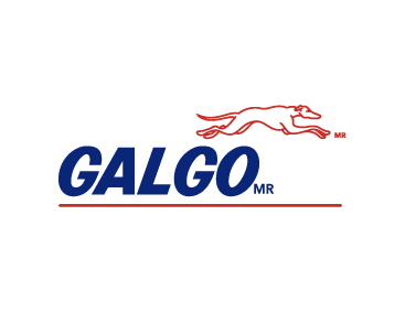 Logo 1